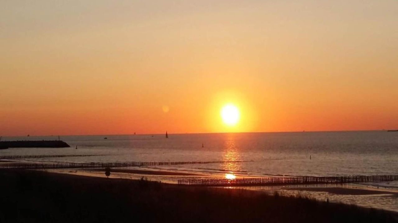 AreaSummer20KM AreaSummer20KM